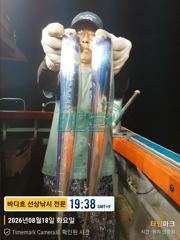 [거제] 8월 18일 출항 왕갈치  조황   굿굿굿!!!  오늘 출항 해… 사진