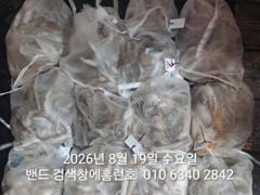 18일 홈런호 야간문어 언제나 굿조황으로 마무리 합니다 사진
