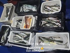 8/19야간고등어출조합니다 ■군산킹스타호■에서~ 사진