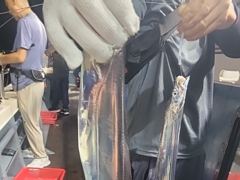 준내만 4지급 텐빈 은빛 갈치 마릿수 쿨러 가득 조황 오늘 무조건 출항 자리여유많음 사진