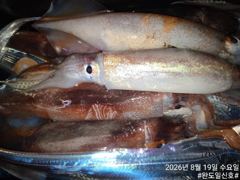 오늘의 조황 - 완도 일신호 갈치 조황(2026.8.19) - 완도 일신호,배낚시,선상낚시 사진