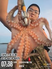 사량도 문어 야간출조 kkk급 사진