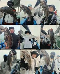 조황사진 - ♡다잡아♡(체험) 8월 19일 조황~!^^ - 인천제일바다낚시 | 인천배낚시, 인천쭈꾸미낚시 사진