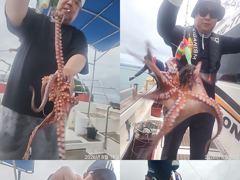 [진해] 문어,20수에서,8수까지 처음부터,끝까지,왕창,,(예약가능) 사진