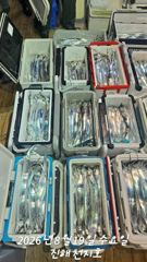 19일 입항 준내만 갈치 풀치속에서 대치들로 손맛 끝내줘요!!(예약가능) 사진