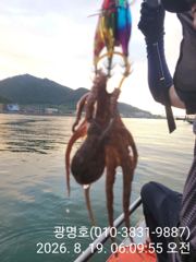삼천포광명호2, 8/22,23,(토,일)돌문어낚시 출조 예약 받습니다. 사진