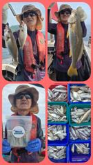 오늘의조황 - [무창포 플러스호] 8월 16일 왕 백조기 낚시 먼바다로 제대로 달렸습니다. / 19일부터 정상출조 / 예약가능 010-3304-7556 - 무창포 선상바다낚시전문배 플러스호 사진