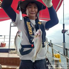 26년8월19일 홍원항 백두산호 백조기 조황입니다.. 사진