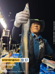 갈치 더디어 터졌다 흥부낚시 3지이상급 쿨러조황 오늘 완전여유 사진