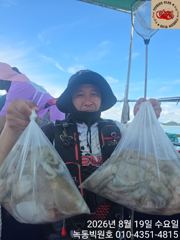 녹동문어가 대세네요(다음주 자리여유) 사진