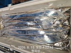 ((먼바다 왕갈치))이제터져나오는 3지4지들 내일 목ㆍ금ㆍ토(예약가능  사진