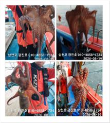 [사천] 문어조황굿굿[선비 할인]내일 자리여유 예약중~ 사진