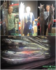3-6지까지 쿨러 가득 채웠읍니다 사진