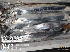 [통영] [텐빈]씨알좋은 3~4지 반쿨 (오늘.소수인원출항확정) 사진