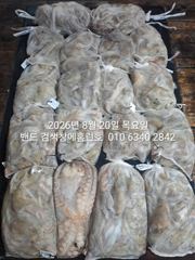 8월19일 굿조황 ...군산 홈런호 야간 문어 마무리 조황 입니다.홈런호에 승선하신 조사님들 수고 하셨습니다. 사진