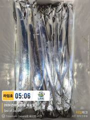 [통영라임호] 8월20일  갈치입항저황입니다 !!! 믿.오. 낚 .선    통영라임호입니다 사진