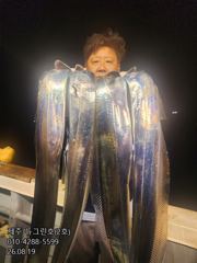 [[제주 뉴그린호(2호) 8월 19일 야간갈치 조황]] 사진