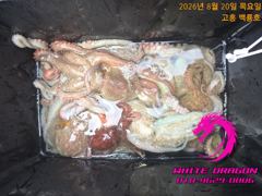 21일 새벽 문어낚시 다녀왔습니다 사진