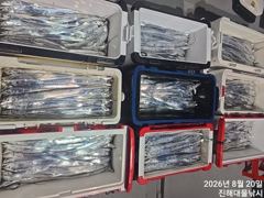 20일새벽,내만칼치 텐빈,루어 버글버글 엄청나게 잡고~목,금,토욜 예약가능~ 사진