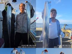[완도 청산호] 26.08.19 6지급 갈치 다수~ 평균 씨알 좋은 갈치 조황 입니다. 찾아주신 조사님들 감사합니다. 사진