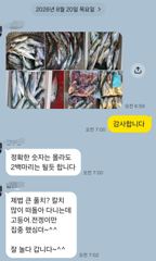 [마산] 마산 원전 선상낚시터 야간 조황 사진