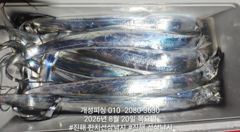 [진해] 준내만 4지급 텐빈 은빛 갈치 마릿수 쿨러 가득 조황 오늘 무조… 사진