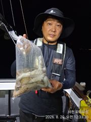돌문어~주간/야간~굿조황~쭉~예약받습니다. 사진
