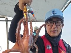 [진해] 칠성호 돌문어 조황입니다 ~~ 사진