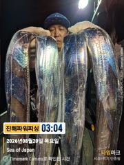 [갈치/텐빈/텐야]우와!!씨알이~3지부터5지급까지~쿨러조황[월요일부터]예약가능 사진