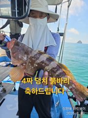 삼천포 마린보이 8. 21. 금요일부터 황금물때 붉바리 외수질/야간문어 출항합니다.
