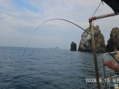 [거제] 먼바다참돔 퍽퍽합니다 사진