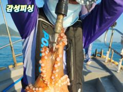 토요일문어출조합니다 사진