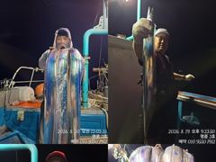 (14석명륜호3호)대갈치 입질 베리굿 갈치와의 전쟁은 계속이어집니다(내일한분예약가능) 사진