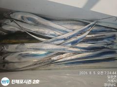 [진해] 원도권텐빈 출조함니다