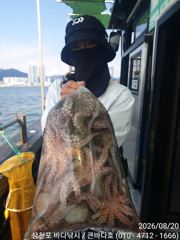 돌문어 장원25수 퍽퍽!! 사진
