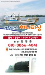 [사천] 하나피싱 / 돌문어조황 / 내일출조예약받습니다