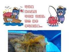 [사천] 삼천포덕성호 돌문어 출조 예약 받습니다.(2026년 8월 20일… 사진