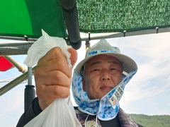 돌문어 좋아요  사진