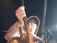 8-20(실시간)돌문어~금.토.일 예약중 사진