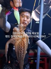 20일 홈런호 야간문어 13인 실시간 조황입니다 굿조황 보장합니다ㅎㅎ 사진