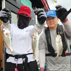 26년8월20일 홍원항 백두산호 백조기 조황입니다.. 사진
