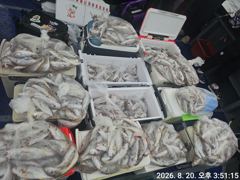 8월20일 백조기낚시^^ 사진