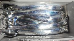  준내만 4지급 텐빈 은빛 갈치 마릿수 쿨러 가득 조황 오늘 무조건 출항 자리여유 사진
