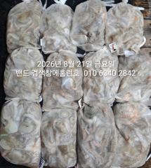 8월20일 군산 홈런호 야간 문어 12명 조사님의 마무리 조황입니다.수고  하셨습니다. 사진