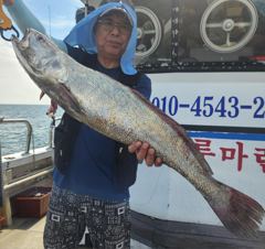 조황정보 - [격포 블루마린호] 8/20 민어 외수질 조황 - 격포 와따피싱,배낚시,선상낚시 사진