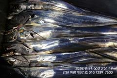 7지.5지 초저녁부터 물어주는 대박조황!!믿고오시면 됩니다.마량대성1호 010-7289-7500 