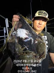 군산 대호피싱 12분의 야간문어 마무리 소식 전합니다  사진