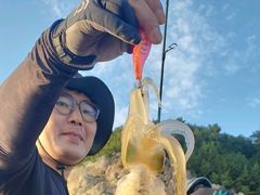 무늬팁런 k급외 싸이즈급들로 마리수 ~ 사진