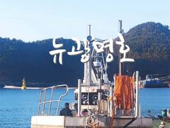 [VIP 광명호] 통영 먼바다 3~4지급 쿨러 가득 채우려 갑니다. -- 26일(수) - 자리여유 -- 사진