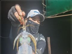 1
					
				
																[통영] 무늬 걸었다하면 고구마~									1